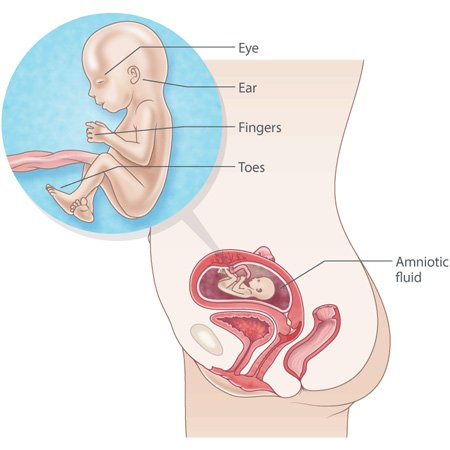 Understanding The Duration: How Long Is 16 Weeks