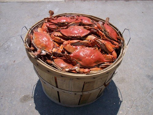 Exploring How Many Crabs In A Bushel: Key Facts