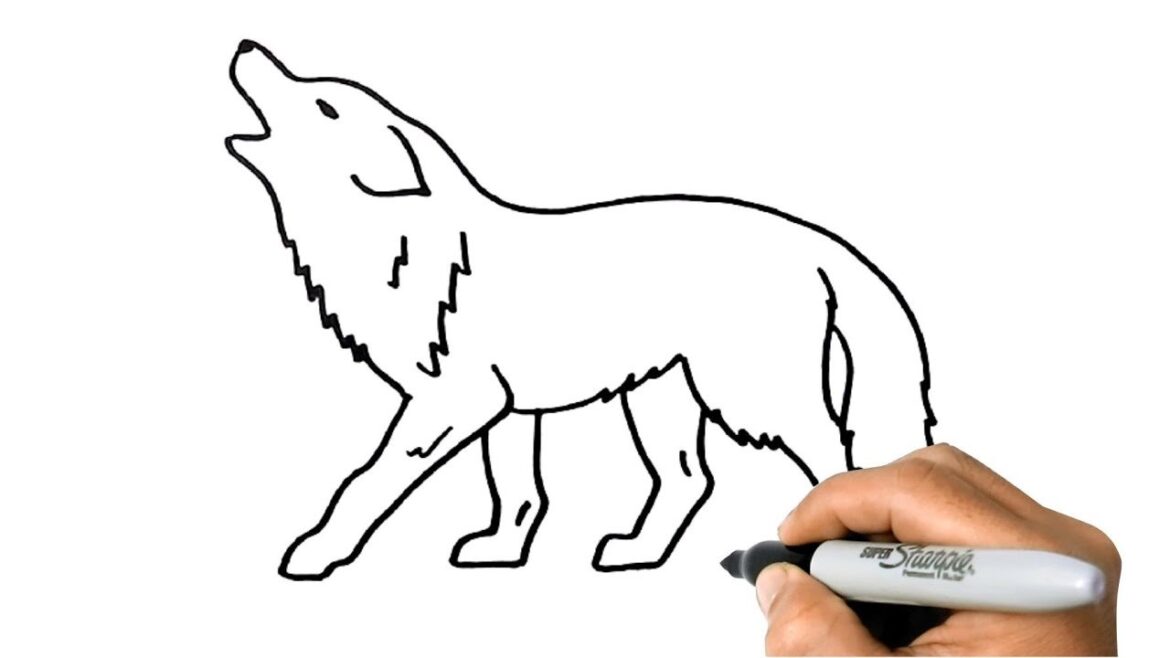 Step-By-Step Guide: How To Draw A Wolf Easy