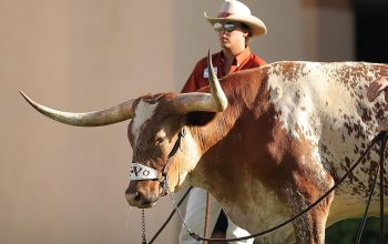 Mascot, sports, texas — Fortnite Cheats - A Guide To The Best Strategies And Tips For Making The Game More Fun